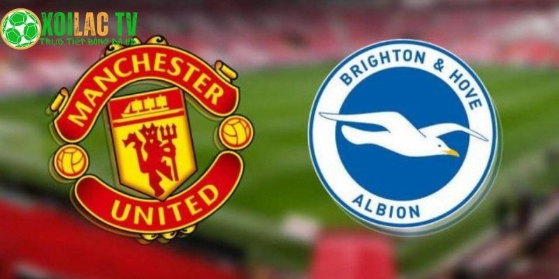 Manchester United đối đầu Brighton